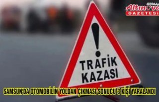 Samsun'da otomobilin yoldan çıkması sonucu...