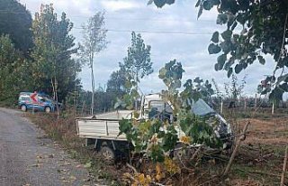 Samsun'da bahçe çitine çarpan kamyonetin sürücüsü...