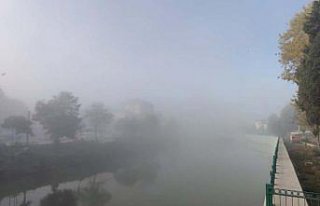 Terme'de sis etkili oldu