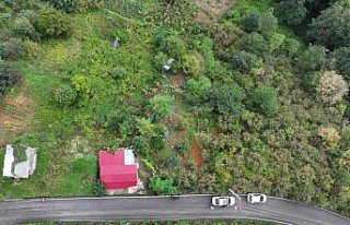 Trabzon'da fındık bahçesine yuvarlanan otomobilin...