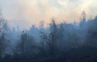 Artvin'de örtü yangınına müdahale ediliyor