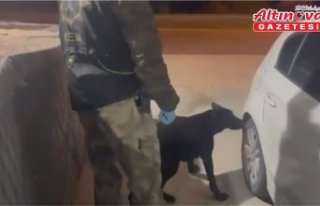 Samsun'da bagaja gizlenen uyuşturucu, narkotik...
