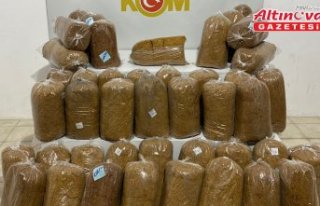 Samsun'da tırda 215 kilogram kaçak tütün...
