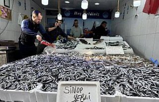 Sinop'ta bol miktarda avlanan hamsinin kilosu...