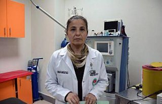 Yüksekten düşerek damağı yarılan kedi nadir...