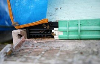 AB'den coğrafi tescil alan Yenice ıhlamur balını...