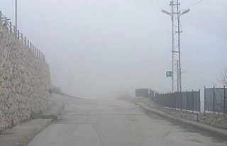 Amasya'da sis etkili oldu