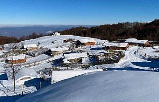 Amasya'nın yüksek kesimlerinde kar yağışı etkili...