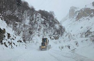 Artvin'de çığ meydana geldi