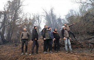 Artvin'deki örtü yangını kontrol altına...