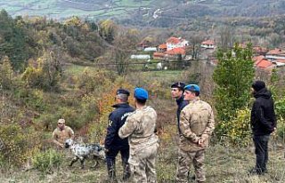 Bartın'da ormanda kaybolan yaşlı kadın ölü...