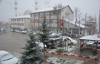 Başçiftlik'te kar yağışı etkili oldu