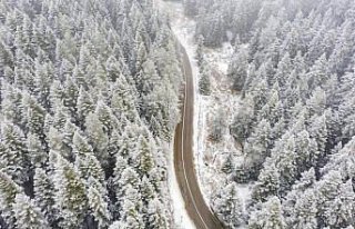 Bolu, Düzce ve Karabük'ün yüksek kesimlerindeki...