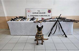 Çorum'da düğünlerde havaya ateş ettikleri...