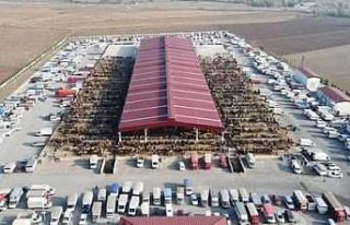 Çorum'da kapalı olan hayvan pazarları 29 Aralık'ta...