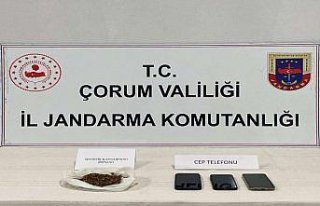 Çorum'da uyuşturucu bitki yetiştiren 4 kişi...
