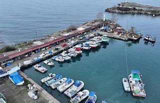 Düzce ve Bartın'da balıkçılar bu sezon av...