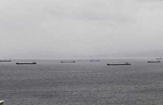 Fırtınadan kaçan yük gemileri Sinop doğal limanına...