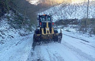 Karadeniz'deki 4 ilde kar nedeniyle 265 yerleşim...