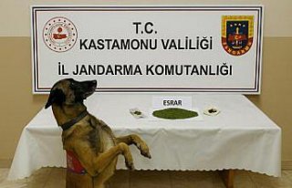 Kastamonu'da düzenlenen uyuşturucu operasyonunda...