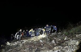 Kastamonu'da uçurumdan deniz kenarına düşen...