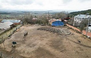 Köyüne dönüp başladığı kaz yetiştiriciliğinde...