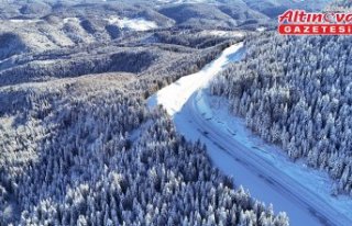 Ordu'nun Çambaşı Yaylası'nda kış manzarası...