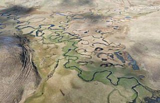 Ordu'daki Perşembe Yaylası 1,3 milyon ziyaretçiyi...