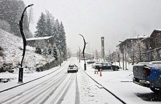 Rize ve Artvin'de kar etkili oldu