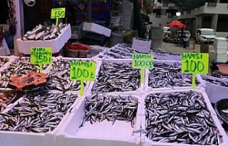 Rize'de hamsinin kilogramı 100 liradan satılıyor