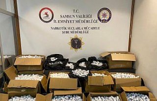 Samsun'da 350 bin uyuşturucu hap ele geçirildi