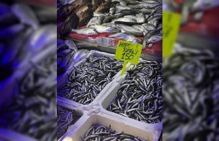 Samsun'da hamsinin kilogramı 150 liradan satılıyor