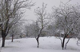 Samsun'un Asarcık ilçesine mevsimin ilk karı...