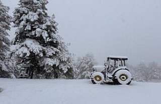 Alaçam'ın Kızlan Yaylası'nda kar etkili...