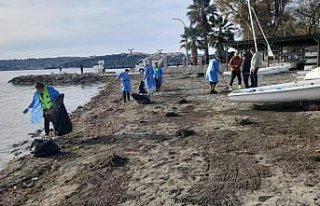 Sinop sahilinde görülen kirlilikle ilgili inceleme...