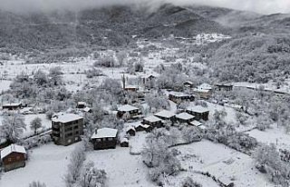 Sinop ve Tokat'ta kar nedeniyle 59 köy yolu...