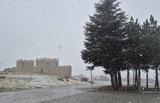 Sungurlu'da kar yağışı etkili oldu