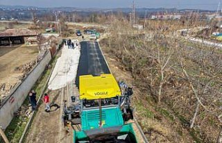 Taşköprü'de sıcak asfalt çalışması başladı