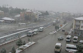 Tokat'ın Yeşilyurt ilçesinde kar yağışı...