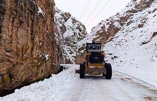 Van'da kırsalda karla mücadele sürüyor