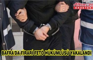 BAFRA'DA FİRARİ FETÖ HÜKÜMLÜSÜ YAKALANDI