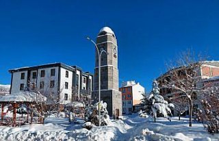 Başçiftlik ilçesinde kar yağışı etkisini sürdürüyor