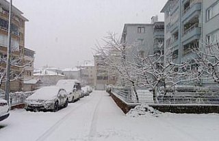 Cide'de kar yağışı etkili oldu