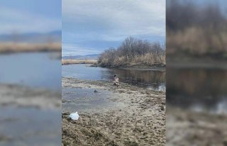 Çorum'da avlanırken bataklığa saplanan kişiyi...