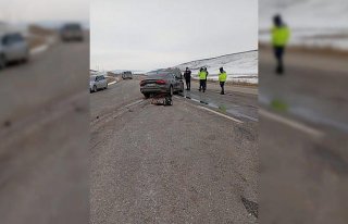 Çorum'da yol kenarındaki toprak zemine çarpan...