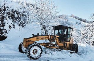 Doğu Karadeniz'de 128 köye ulaşım sağlanamıyor