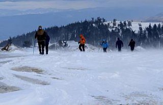 Düzce'de Kardüz Yaylası'nda Sarıkamış...