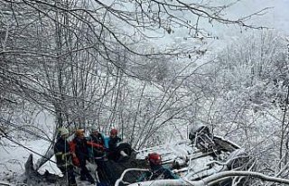 Giresun'da otomobilin uçuruma yuvarlandığı...