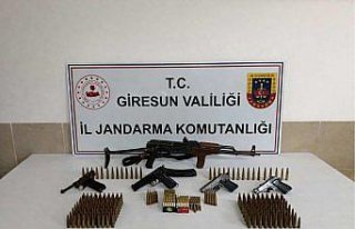 Giresun'da silah kaçakçılığı operasyonu