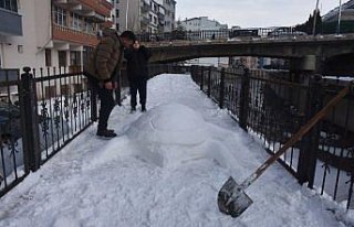 Gümüşhane'de tır şoförü kardan kaplumbağa...